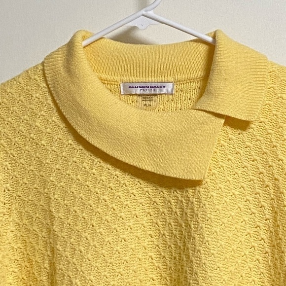 ⭐️HOST Pick⭐️ Allison Daley Petite Knitted Sweater, size Large - Picture 2 of 11